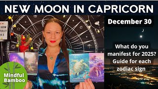 🌘NEW MOON TAROT UPDATE FOR EACH ZODIAC | What do you manifest for 2025? | Dec 30 | Timestamps added🤗