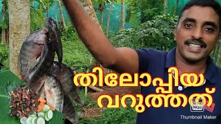 തിലോപ്പിയ മീൻ മൊരിച്ചത് /Tilapia fish deep fry/തിലോപ്പിയ ഫ്രൈ ചെയ്തത് V L #11