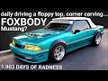 Fox Body Mustang daily driver - Radtime Review