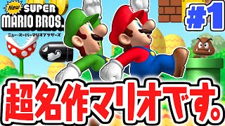 今の子供達は知らない超名作マリオ!!懐かしのゲームを遊び尽くせ!!DS名作実況Part1【Newスーパーマリオブラザーズ】