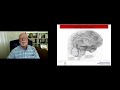 deficient emotional self regulation the overlooked adhd symptom that impacts everything barkley