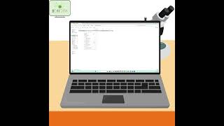 Handling Missing Data in Pandas | Python Data Analysis for Scientists #tutorial #python #pandas