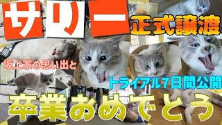 【感動】譲渡後の幸せなサリーの様子も公開します！　～サリー正式譲渡までの軌跡〜　エイズキャリアなんてぶっ飛ばせ！卒業おめでとう！