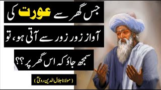 RUMI quotes || best quotes of mulana rumi in urdu/hindi