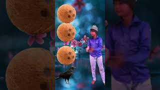 Rounding coconut to Duck, Peacock, Pigeon\u0026 Parrot - Birds names magic video