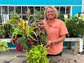 How To Create Fall Planters 2022 Part 2