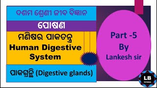 ପାକଗ୍ରନ୍ଥି ମଣିଷର ପାକତନ୍ତ୍ର ପୋଷଣ | Human Digestive System in Odia |Nutrition| ଦଶମ ଶ୍ରେଣୀ ଜୀବ ବିଜ୍ଞାନ