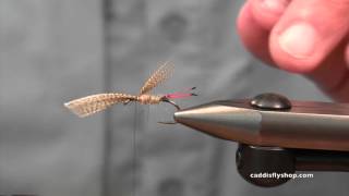 SLF Soft Hackle Fly Tying Video