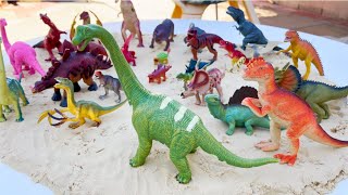 TWINS DINOSAUR COLLECTION IN SAND