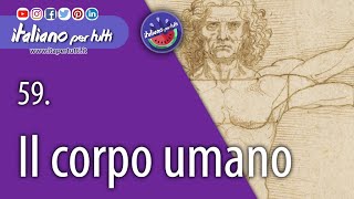 59. Il corpo umano