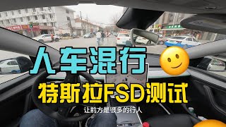 【Fsd in China】武汉晚高峰人车混行，中国国内特斯拉FSD测试