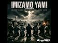 LionSound ft Zwellybrown, ElliDaNews,Small,Mdeva,Ushurkuh & ZuluVibe - Imizamo Yami