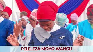 PELELEZA MOYO WANGU - MINISTRY OF REPENTANCE \u0026 HOLINESS.