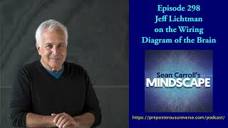 Mindscape 298 | Jeff Lichtman on the Wiring Diagram of the Brain