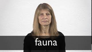 How to pronounce FAUNA in British English