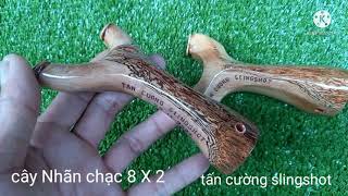 Longan tree on 11/29/2021 handmade slingshot. / tancuong slingshot /