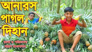 আনারস পাগল দিহান । জুনিয়র মুভি । Anaros Pagol Dihan । new Junior movie dihan 2021