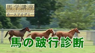 馬学講座ホースアカデミー６　６．馬の跛行診断