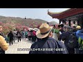 the baili rhododendron in guizhou a national 5a scenic spot is too spectacular