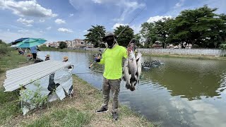 กระพงบุฟเฟ่ นำ้เดือด บ่อสไมล์ ฟิชชิ่ง สายอ่อนตะลอนตก fishing holiday