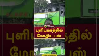 புளியமரத்தில் மோதிய பஸ்  #shorts #Cheyyar #bus