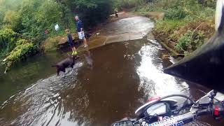 Fording the Blackwater River near Eversley in Hampshire