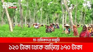 বকেয়া মজুরি ১১ হাজার টাকা করে পাবেন চা-শ্রমিকরা | DBC NEWS