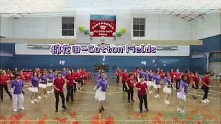 棉花田( Cotton Fields)~@ “迎新送旧”联谊之夜.