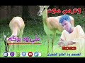 ربابه  سودانية المبدع علي ود بركه