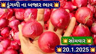 ગોંડલ ડૂંગળી ના બજાર ભાવ લાઈવ / ગોંડલ ડુંગળી બજાર ભાવ / ગોંડલ માર્કેટ યાર્ડ ના ભાવ / 20.1.2025