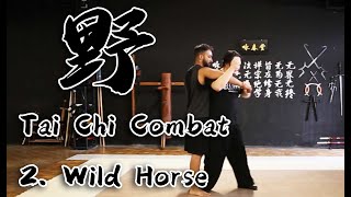 Tai Chi Combat Application - 2. Wild Horse Parts Mane