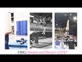 OMG Bloopers and Blunders of 2019 |  Region 5 Gymnastics