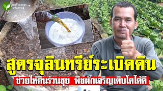 สูตรจุลินทรีย์ระเบิดดิน ช่วยให้ดินร่วนซุย พืชผักงาม #จุลินทรีย์ #ดินร่วนซุย #สูตรระเบิดดิน #อนิติ