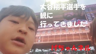 大谷翔平選手を観に行ってきました