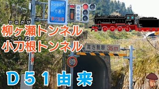 【柳ヶ瀬トンネル・小刀根トンネル】日本の廃線となったD51鉄道トンネルを探索