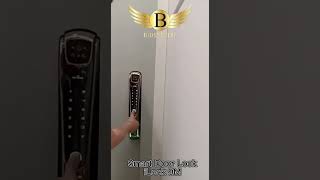 BIOSYSTEM DIGITAL LOCK