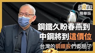 精華💰鋼鐵股春燕到 永年哥直喊委屈 中鋼將到「這價位」《鈔錢部署》盧燕俐 ft.李永年 20230118