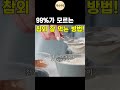 참외 먹는 방법 무조건 껍질까지 싹 먹어야 합니다 shorts