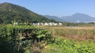 Hong Kong WALKS // Hakka Chinese village | Luk Keng 鹿頸 客家人 PART 1