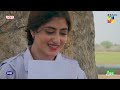 jub meenu ne likha love letter.. sajalali hamzasohail zard patton ka bunn hum tv