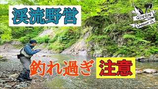 秋の北海道【渓流キャンプ】遡上アメマス爆釣！楽しすぎて終始笑いの絶えない渓流泊。