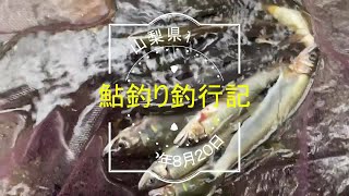 鮎釣り釣行記 #10 山梨県桂川編【2022年8/20釣果＋河川状況】