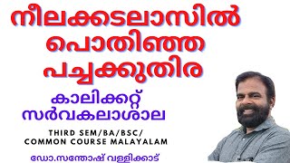 നീലക്കടലാസില്‍ പൊതിഞ്ഞ ഒരു പച്ചക്കുതിര റോസി തോമസ്‌