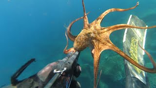 Ψαροντούφεκο - Μια μέρα στη Ντία | Spearfishing - One day in Dia (Teaser)