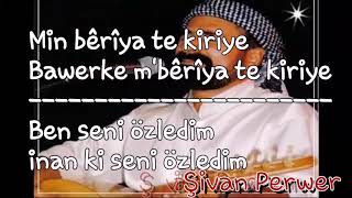 Şivan Perwer "min bêrîya te kiriye" (BEN SENI ÖZLEDİM) Tüm youtube arkadaşlarıma gelsin 😊
