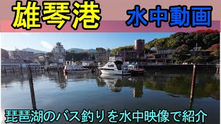 【2024最新】琵琶湖の雄琴港のバス釣りポイントを水中動画で紹介！