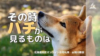 「その時ハチが見るものは」、2024年9月7日、函館教会牧師 松田健、北海道地区オンライン合同礼拝＠旭川教会