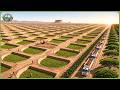 How Africa Dug Millions of Half Moon Pits To Build A Great Green Wall Across The Sahara