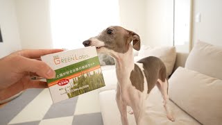 草が好きな愛犬の為に犬が食べられる草を栽培してあげた結果が草すぎたwww