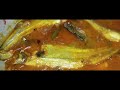 দারুন স্বাদে পাবদা মাছের তেল ঝাল রেসিপি। fish curry. how to make shared pabda fish recipe.